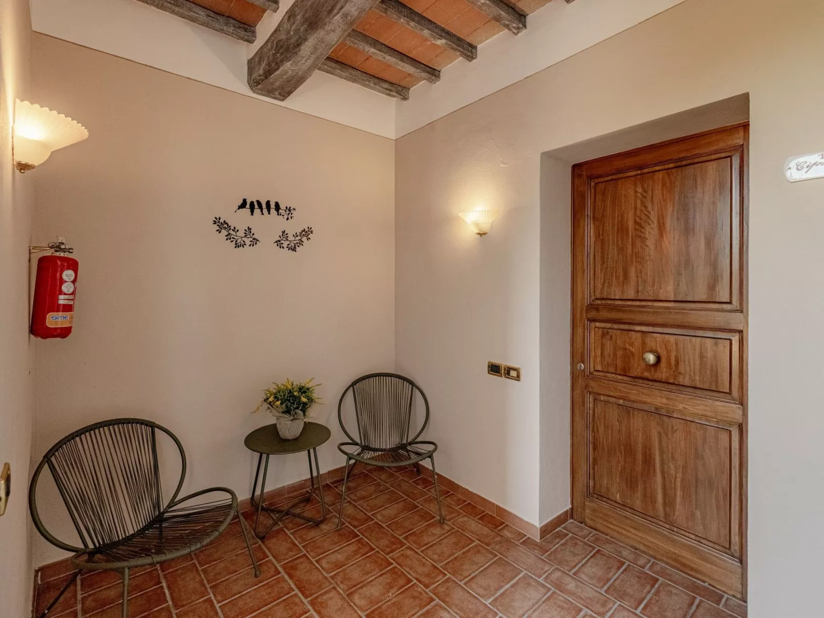 Flach 'Girasole Sanguineto'-Drinnen