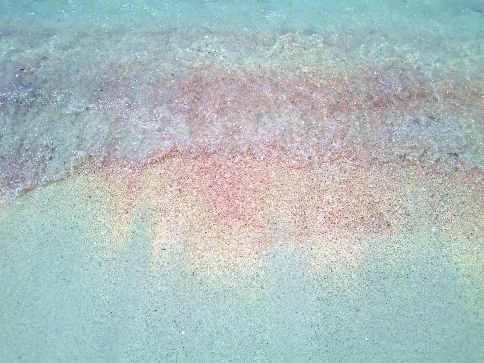 Bilocale 11-Image-tags.info