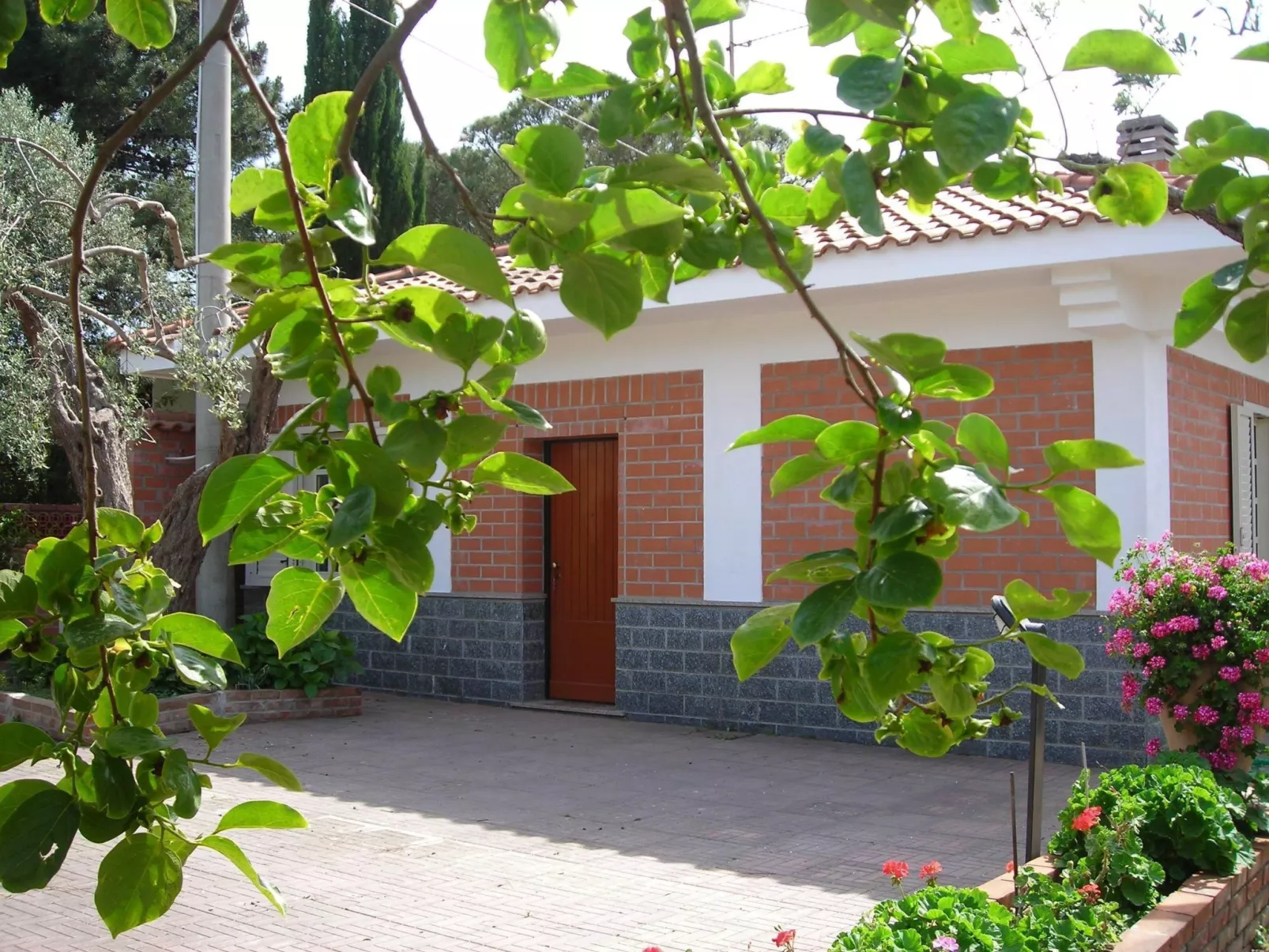 Direkt am Strand-Image-tags.info