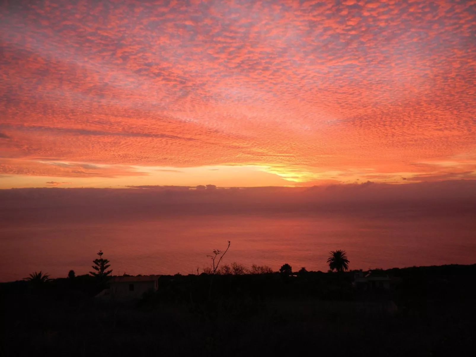 Ruhige Finca Topo del Drago mit Meerblick-Dehors