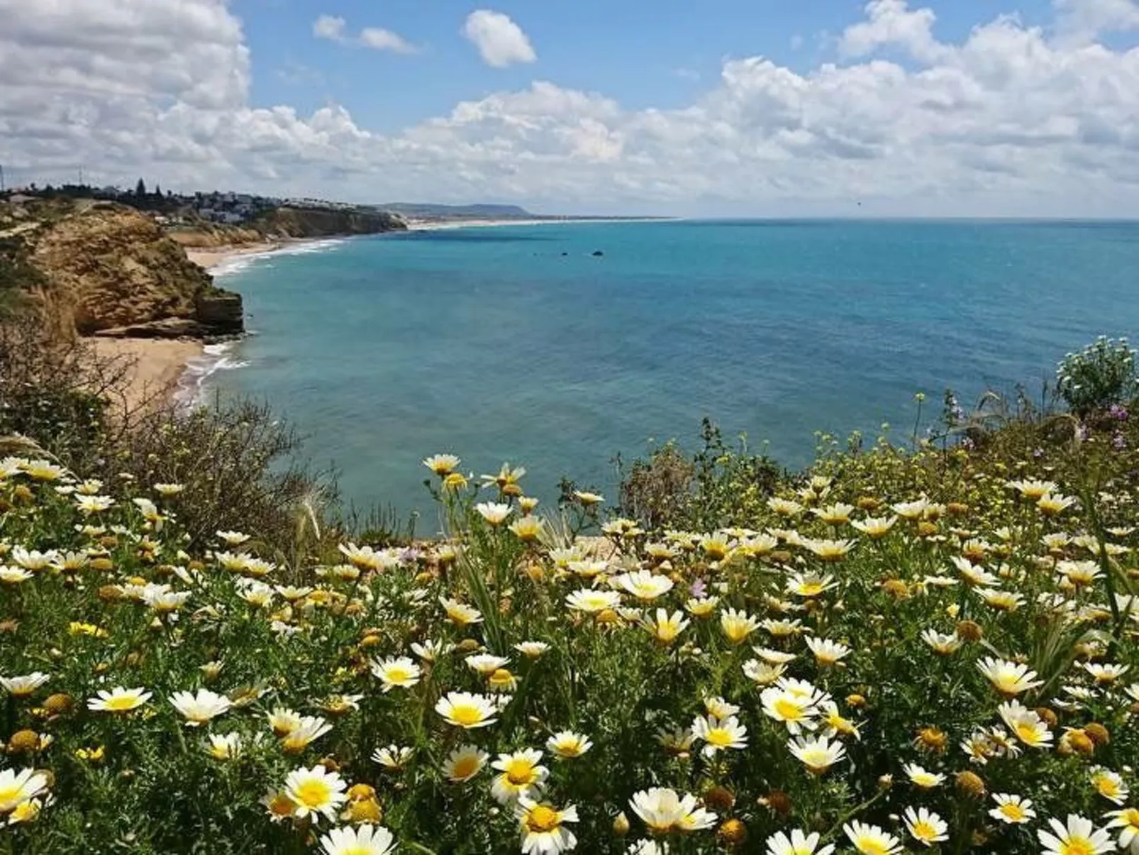 Helle und geräumige Wohnung in Conil-Draußen