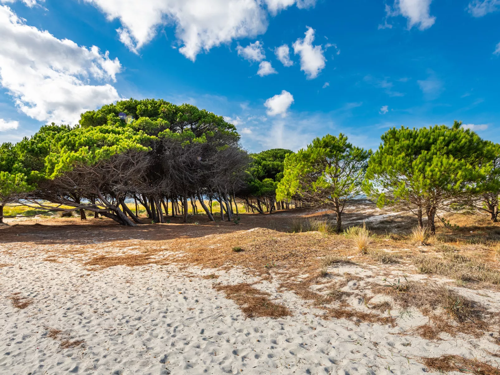 Haus in La Caletta mit Garten und Grill-Area