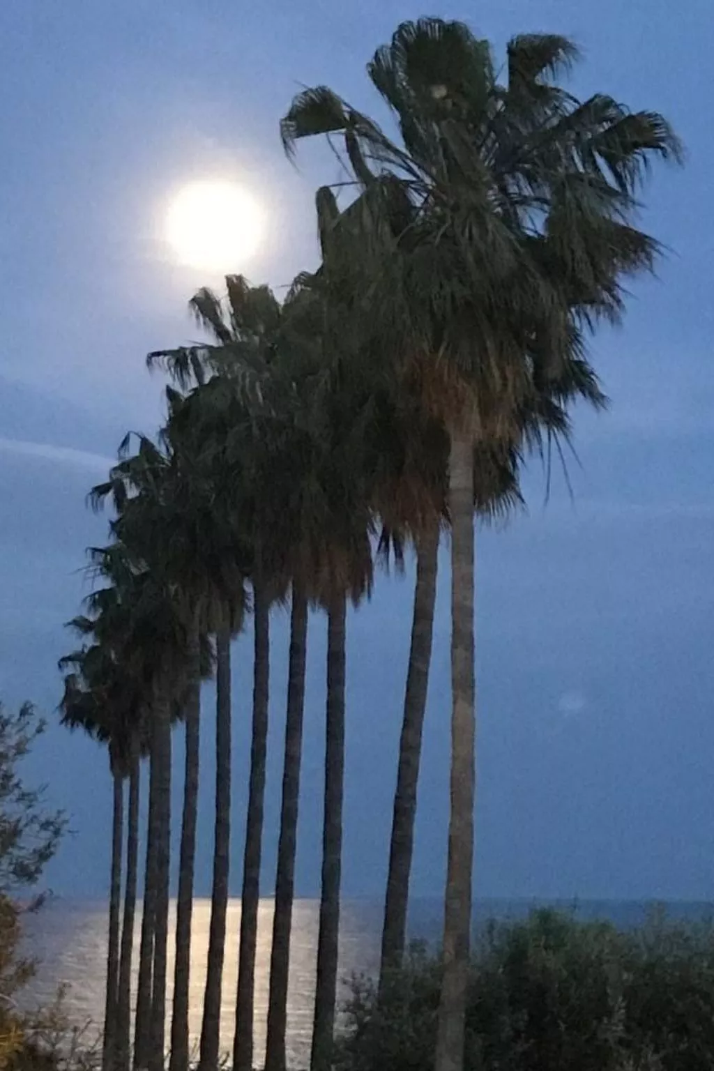 'Casa Nausica-Image-tags.info