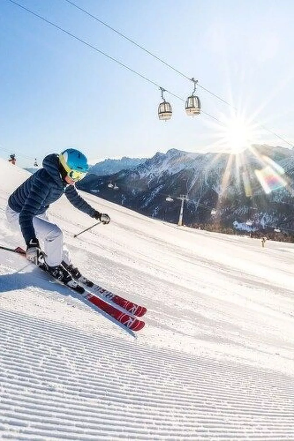 Alpenrose-Image-tags.info