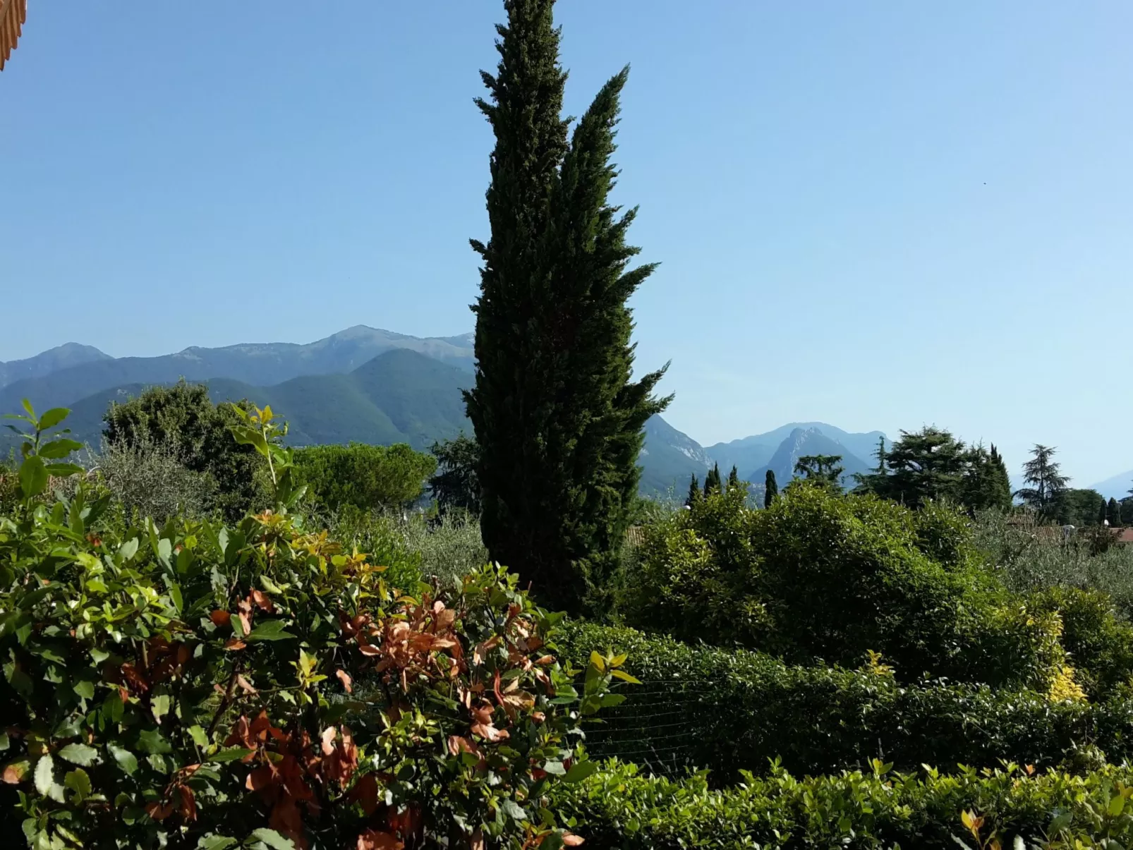 Piccola Perla - Image-tags.info