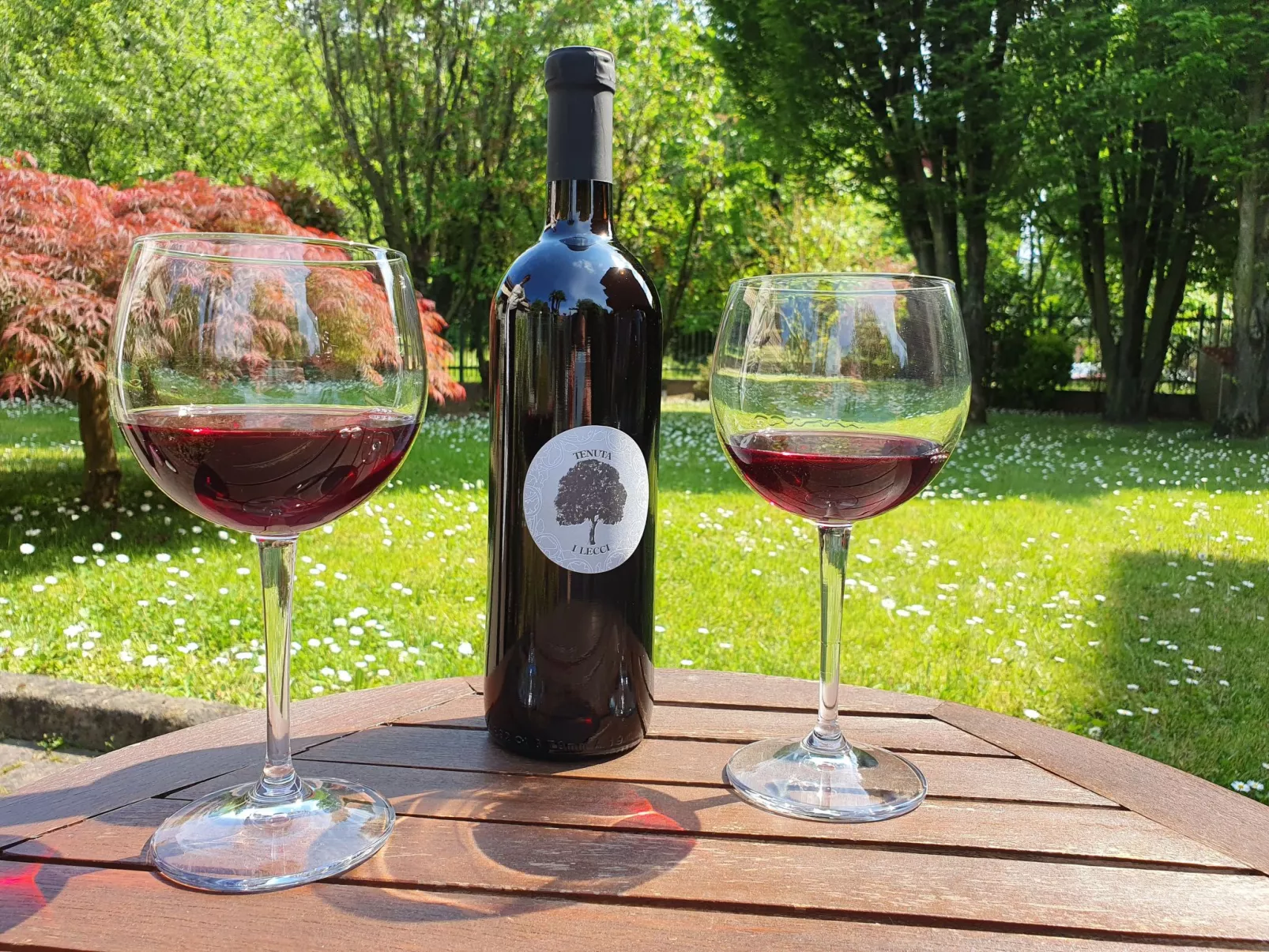 Flache Linde-Draußen