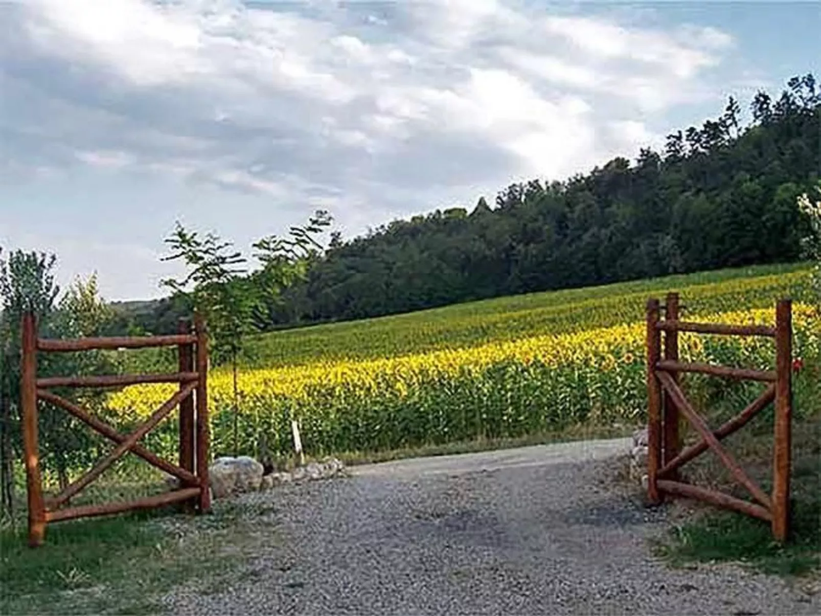 Großes Appartement-Outside