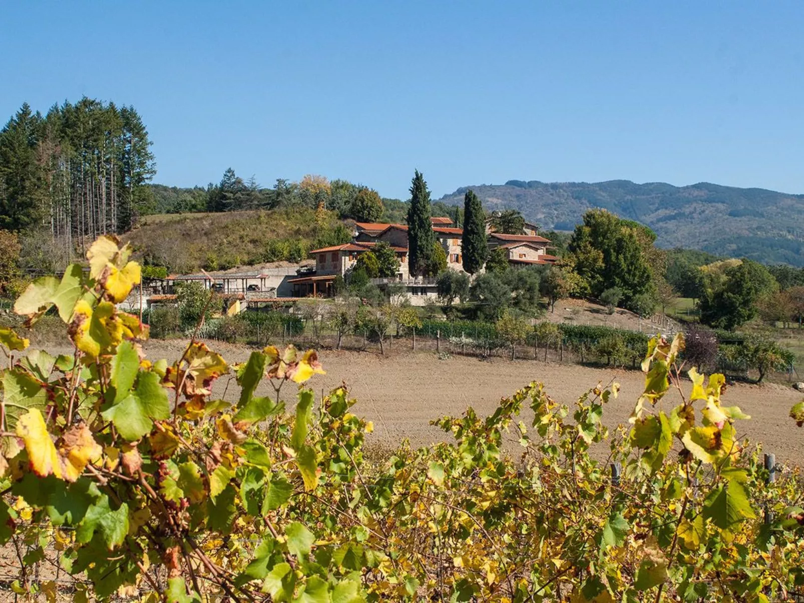 Fichtenhaus mit Schwimmbad zwischen Florenz und-Image-tags.info