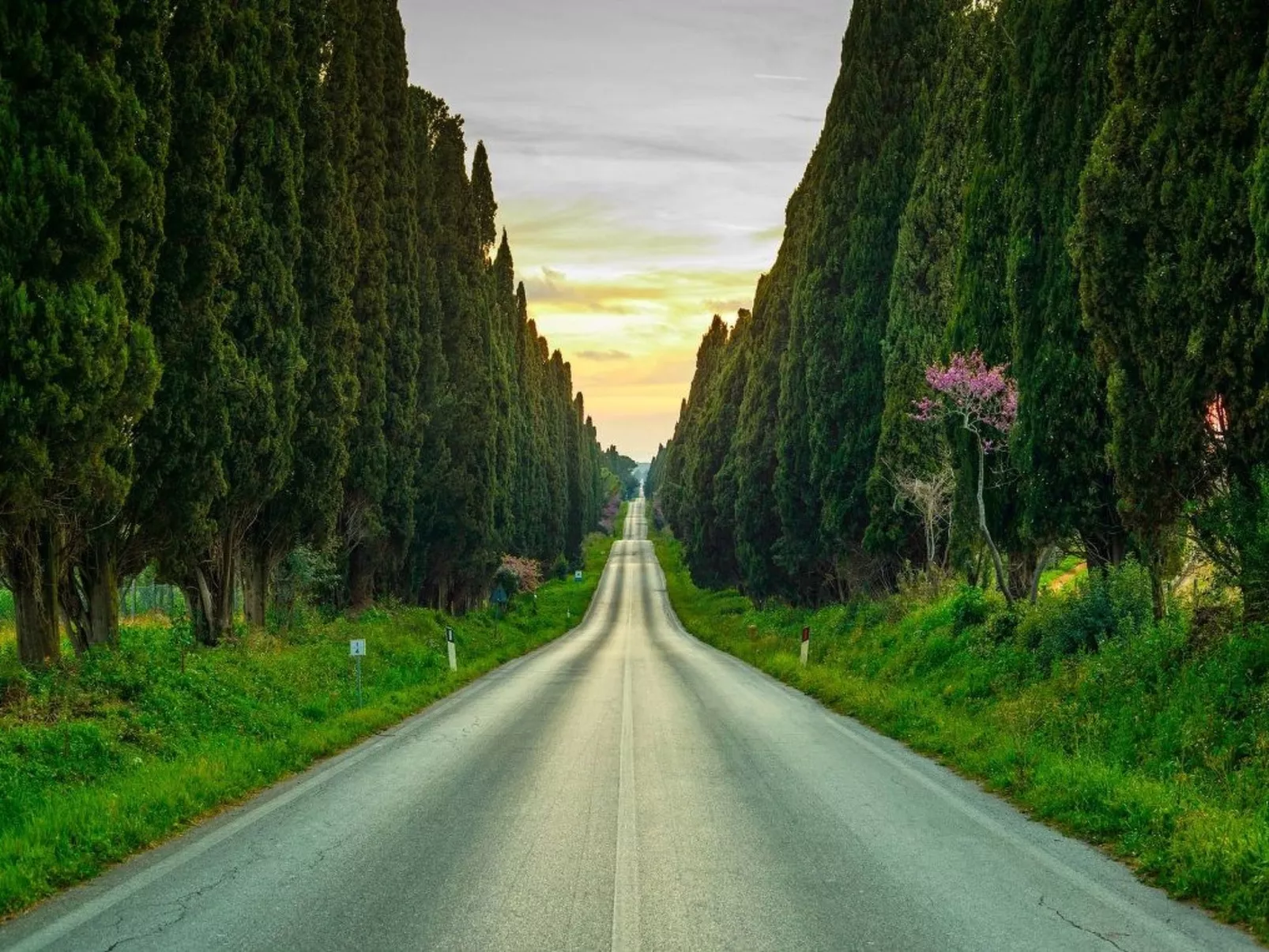 Badia Vecchia-Image-tags.info