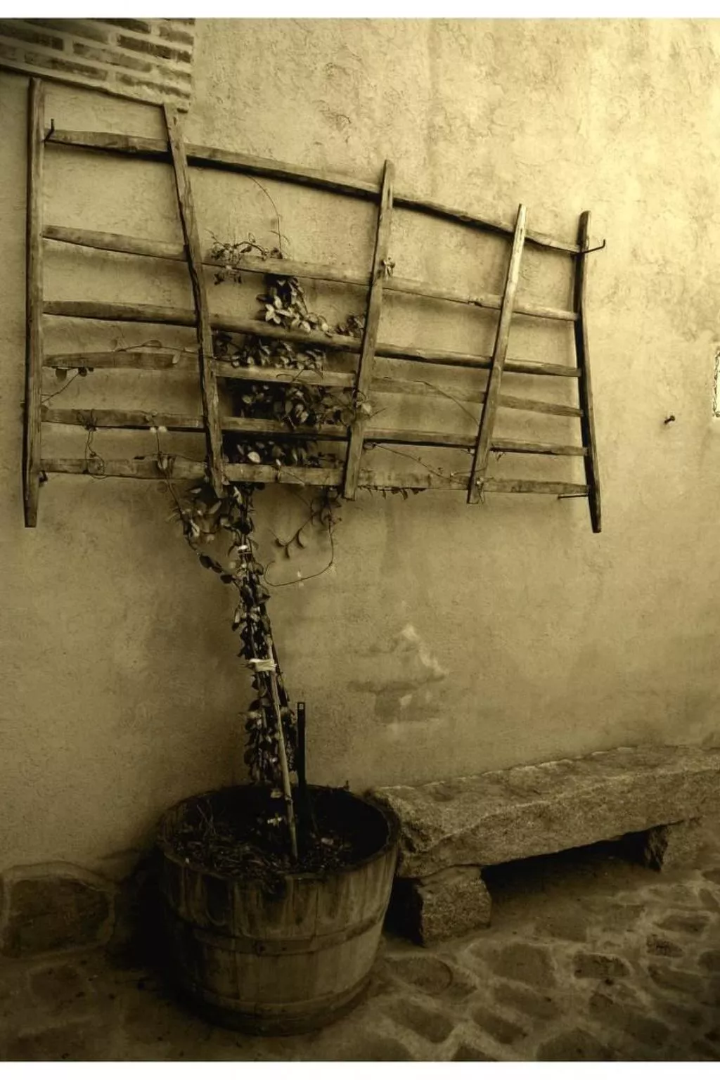 Gasthaus Callejón del Pozo I-Outside