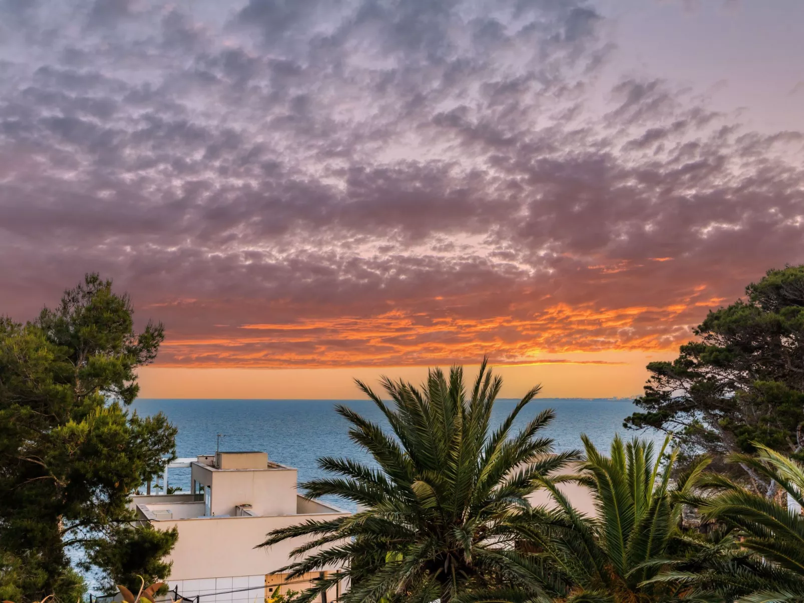 Chalet 'Cala Murta' mit eigener Terrasse-Draußen