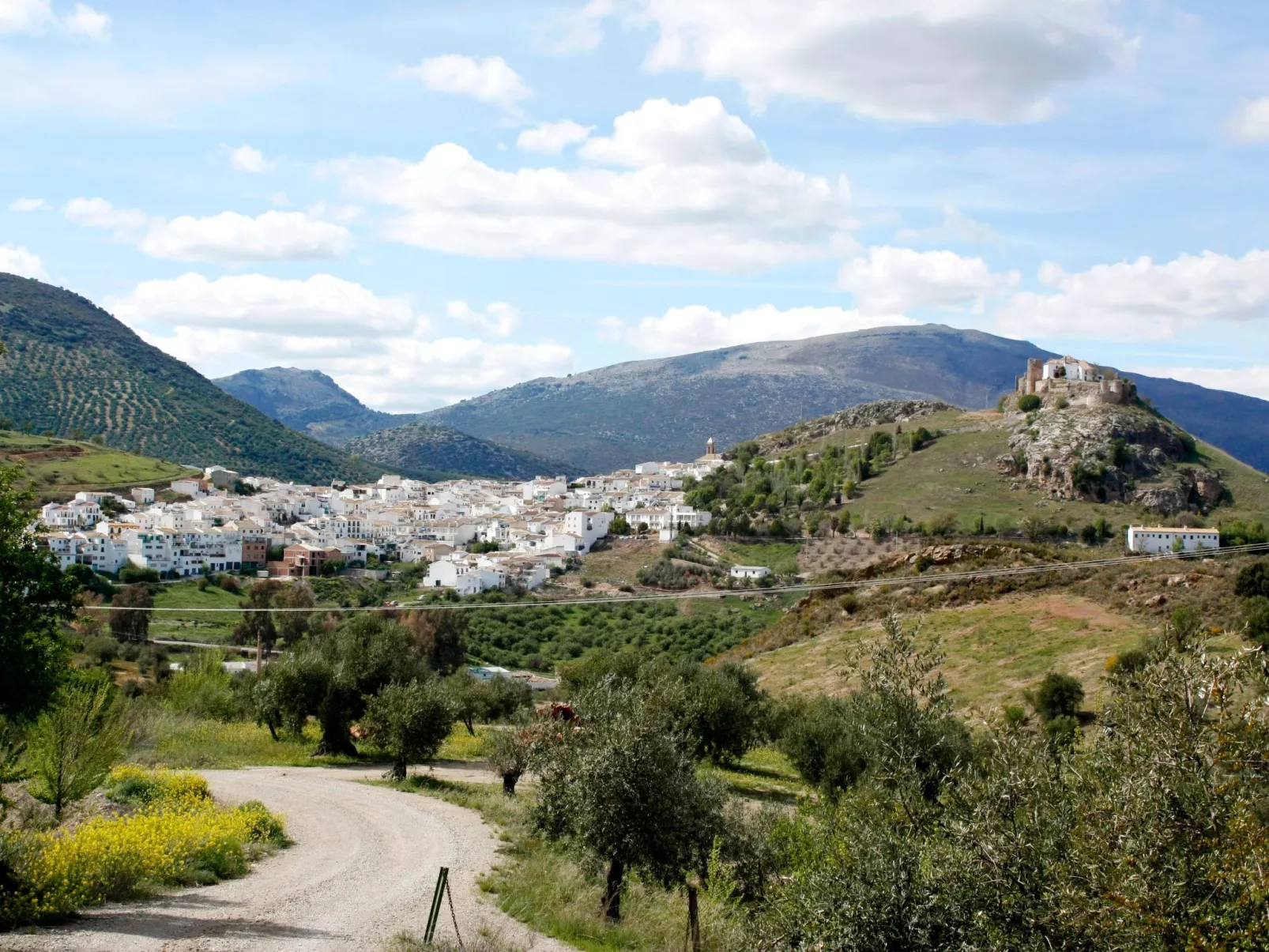 Finca "Cortijo Masegal"-Dehors