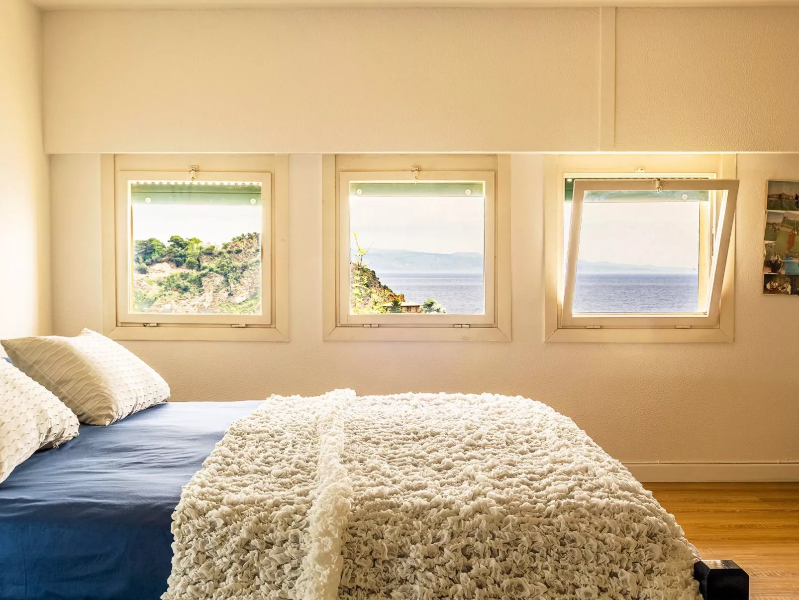 Sea Life in Taormina-Image-tags.info