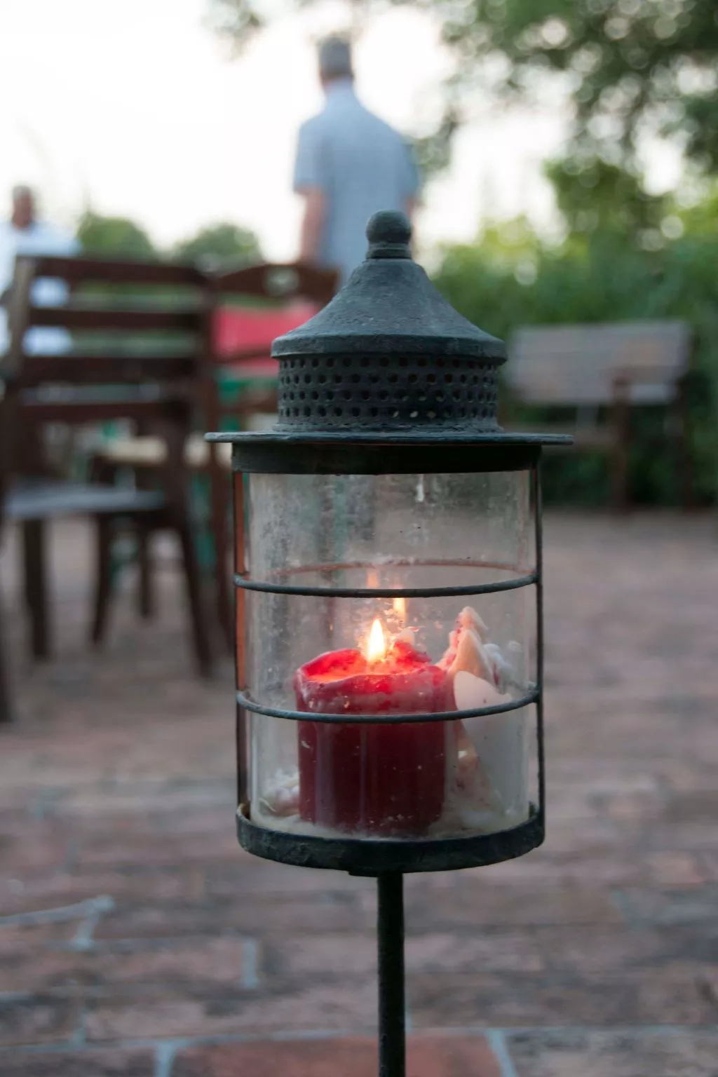 Apartment Rosa Canina (Wilde Rose)-Outside