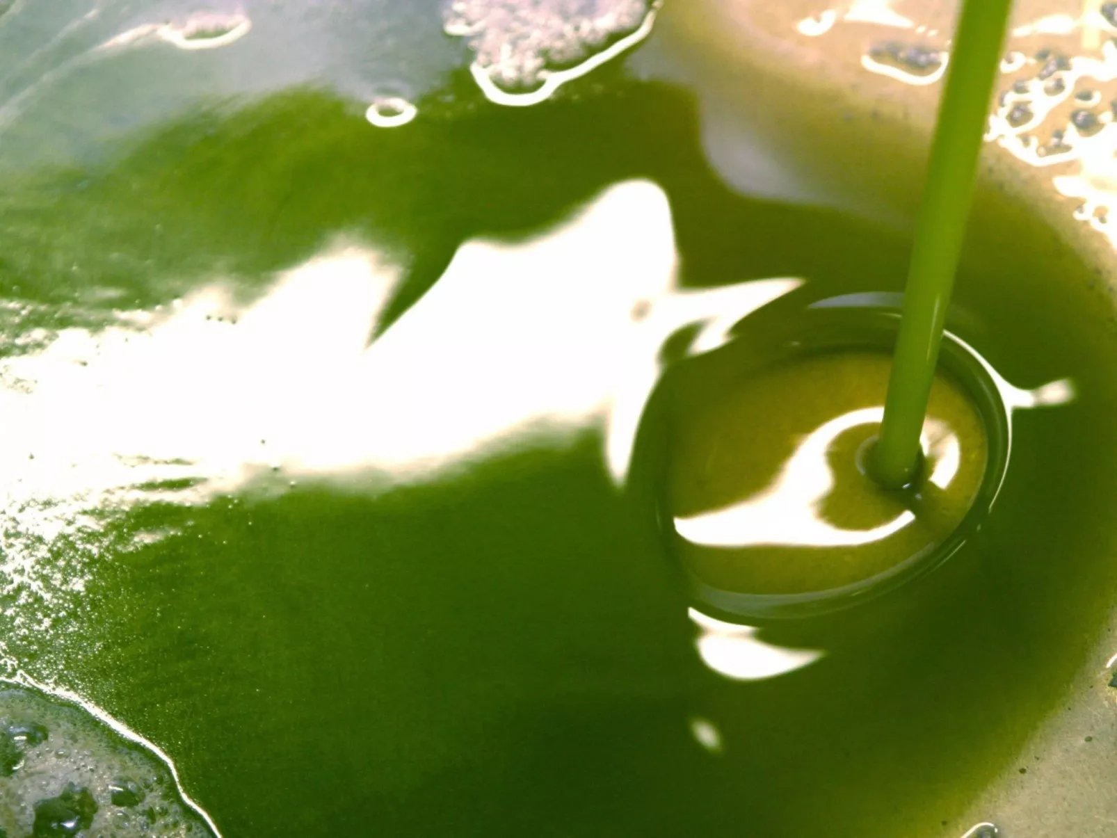 Wohnung in Figline Valdarno mit Gemeinschaftspool-Image-tags.info