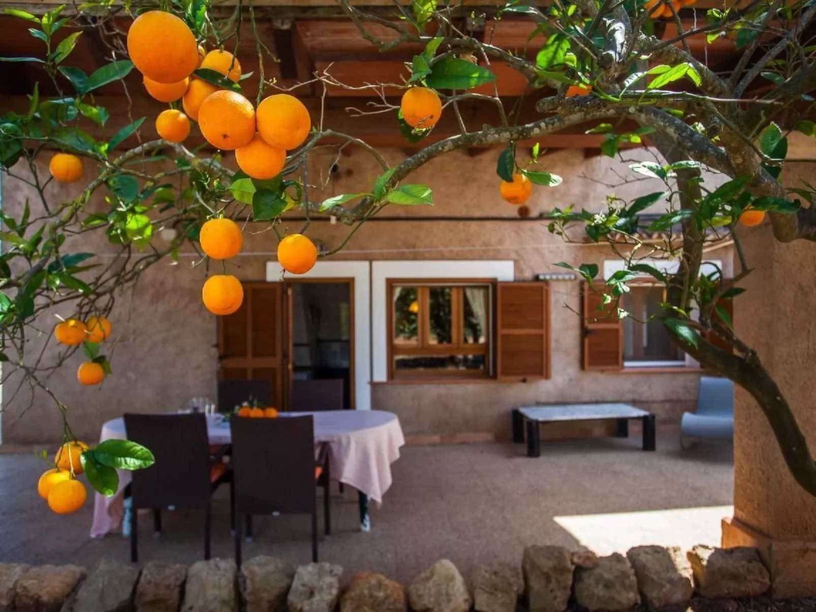 Finca Torro Perdido-Dehors