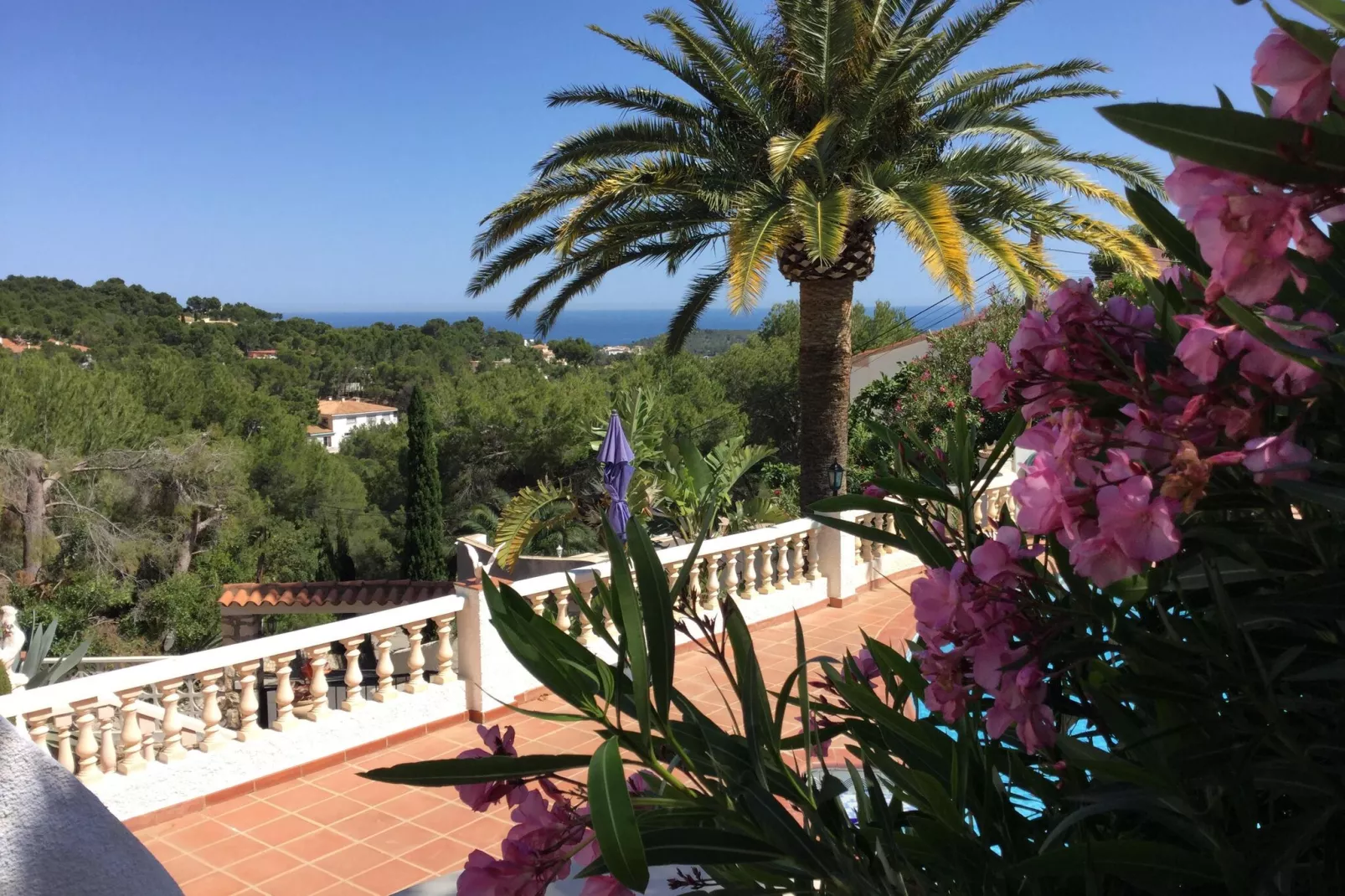 Casa Margit-Aussicht Sommer