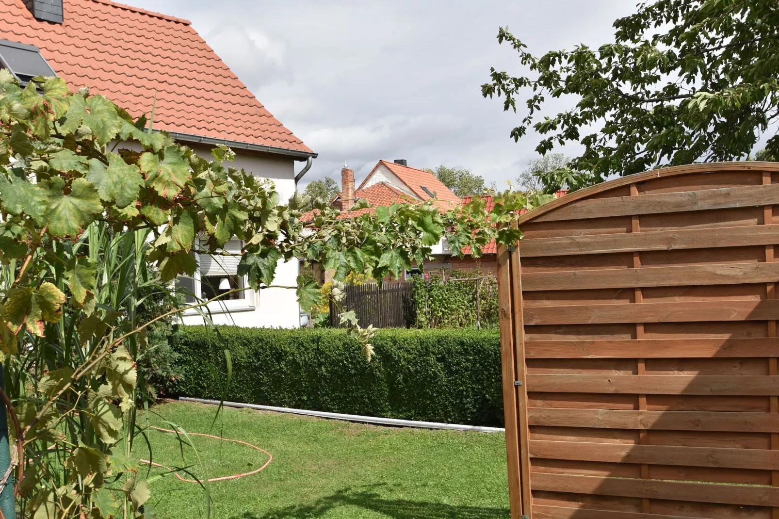 Veckenstedt-Gardens in summer