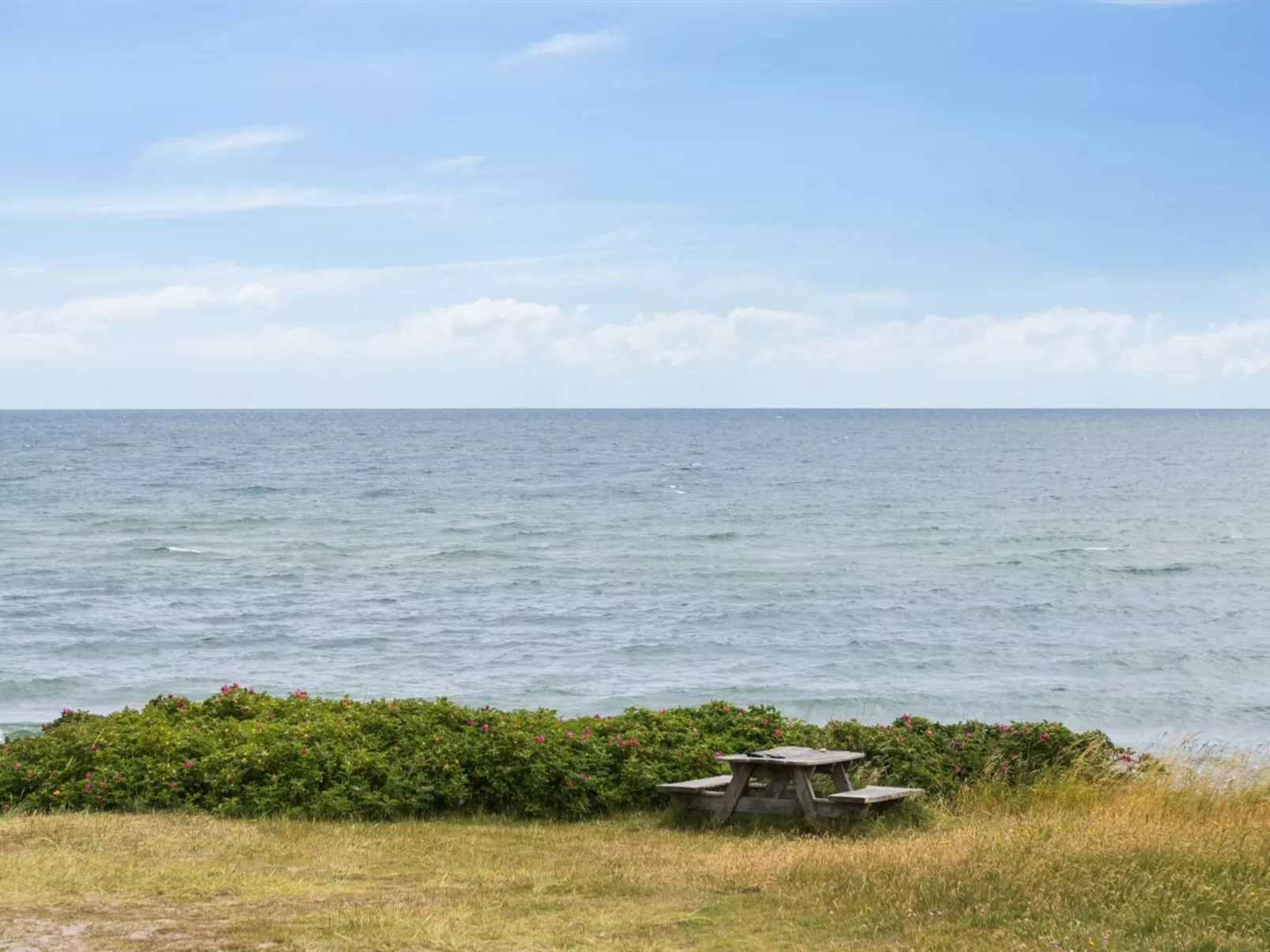 "Torbjörn" - 100m from the sea-Draußen