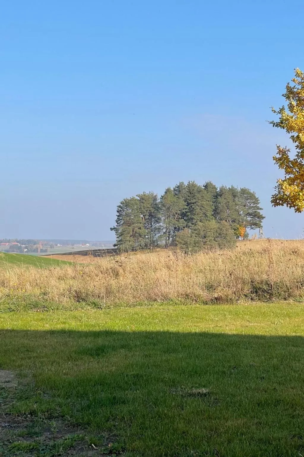 Vogelecke - abseits des Trubels und der Hektik-Draußen