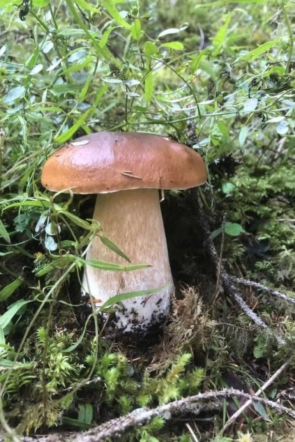 Chesa Andrea, EG-Outside