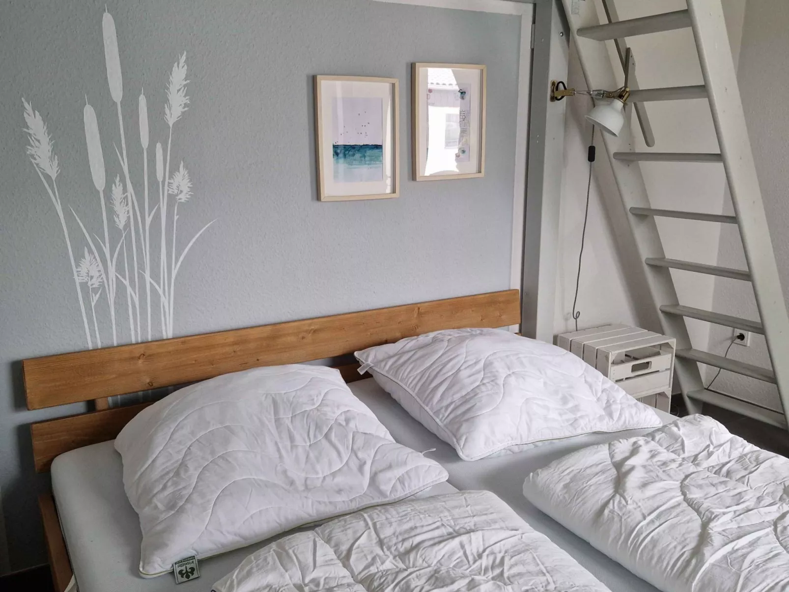 G24 Ferienhaus mit Sauna im eigenen Garten-Inside