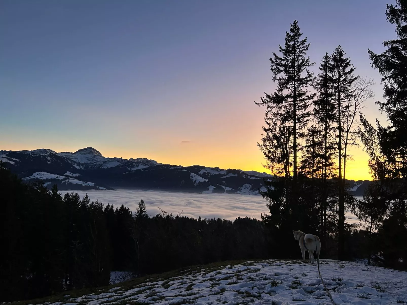 Sonnige Maisonette-Dehors