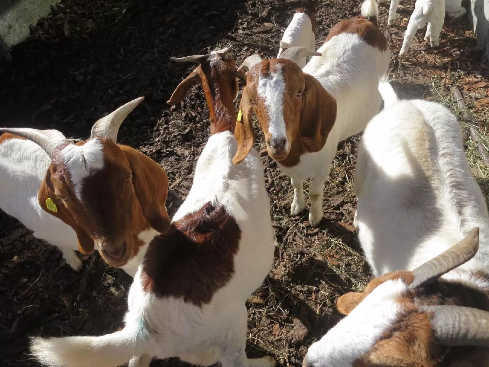 Biohof Langberg-Outside