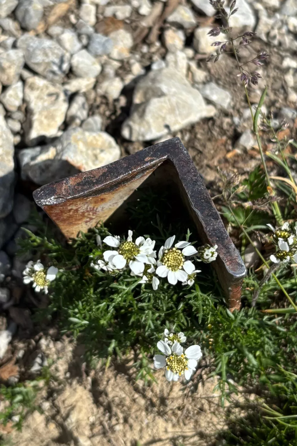 Haus Rosenwirth-Dehors