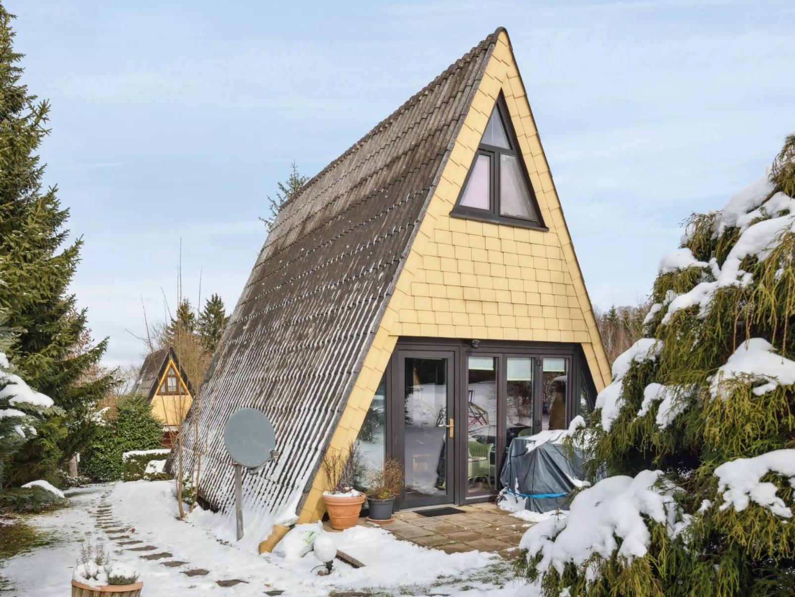 Seyer-Image-tags.info