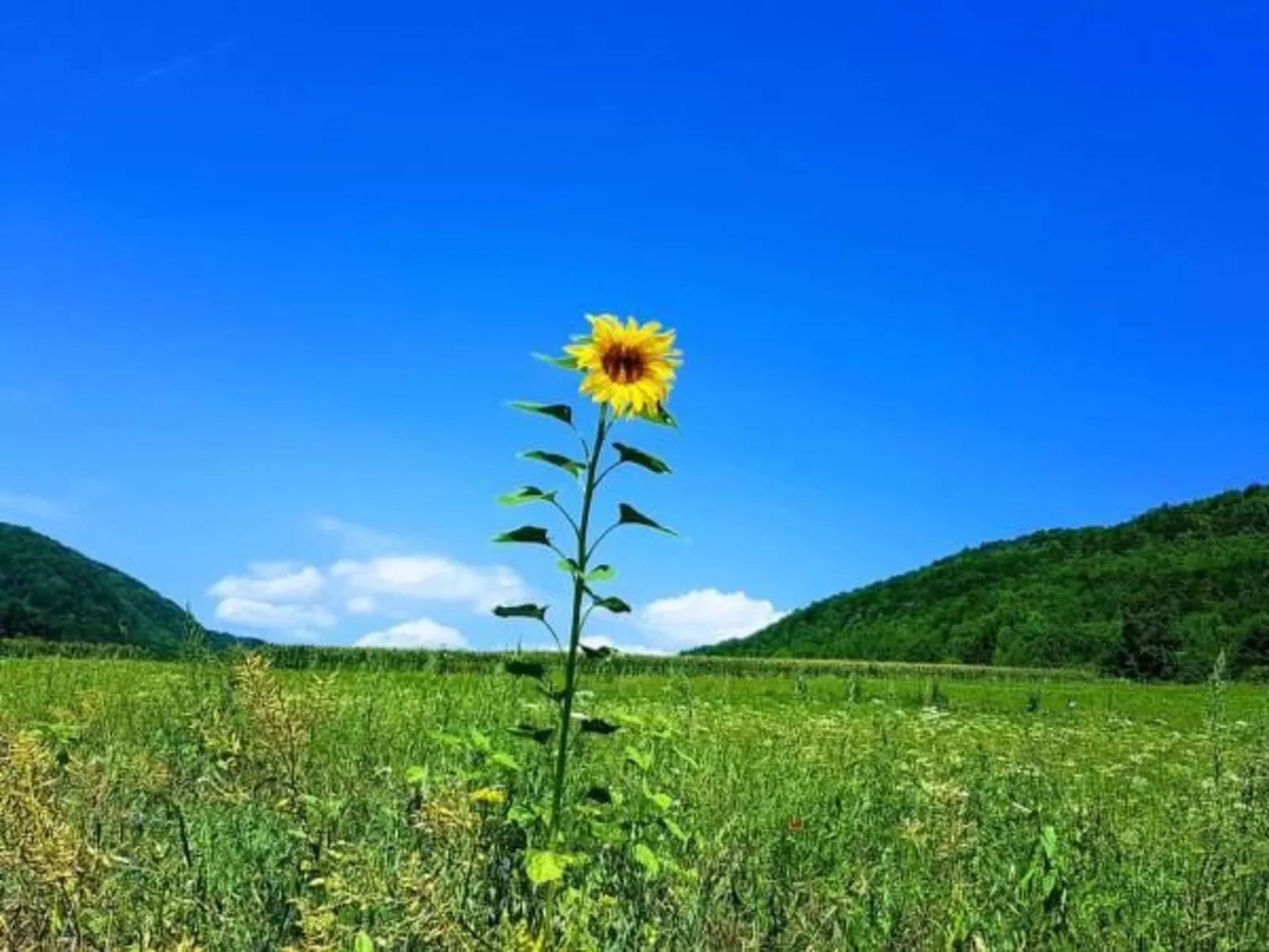 Ferienwohng. Susanne-Outside