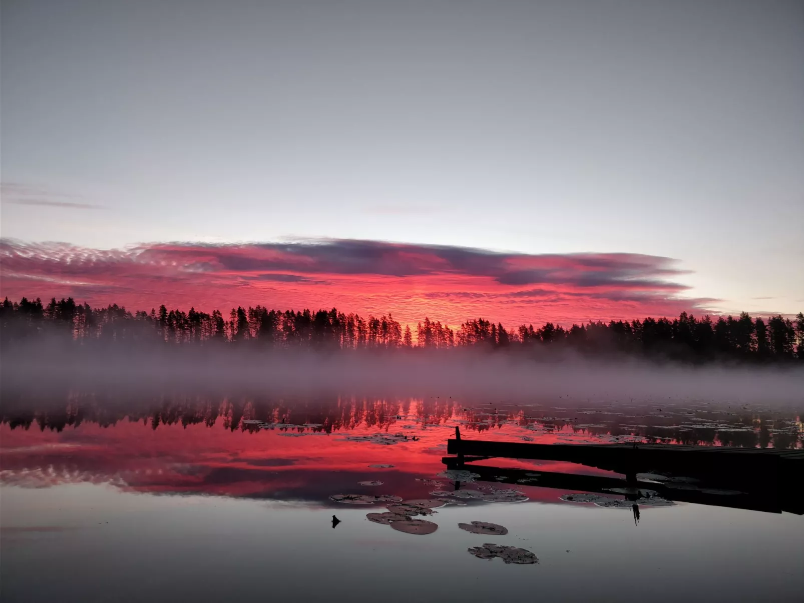 Skandinavisches Ferienappartement inmitten der Natur-Outside