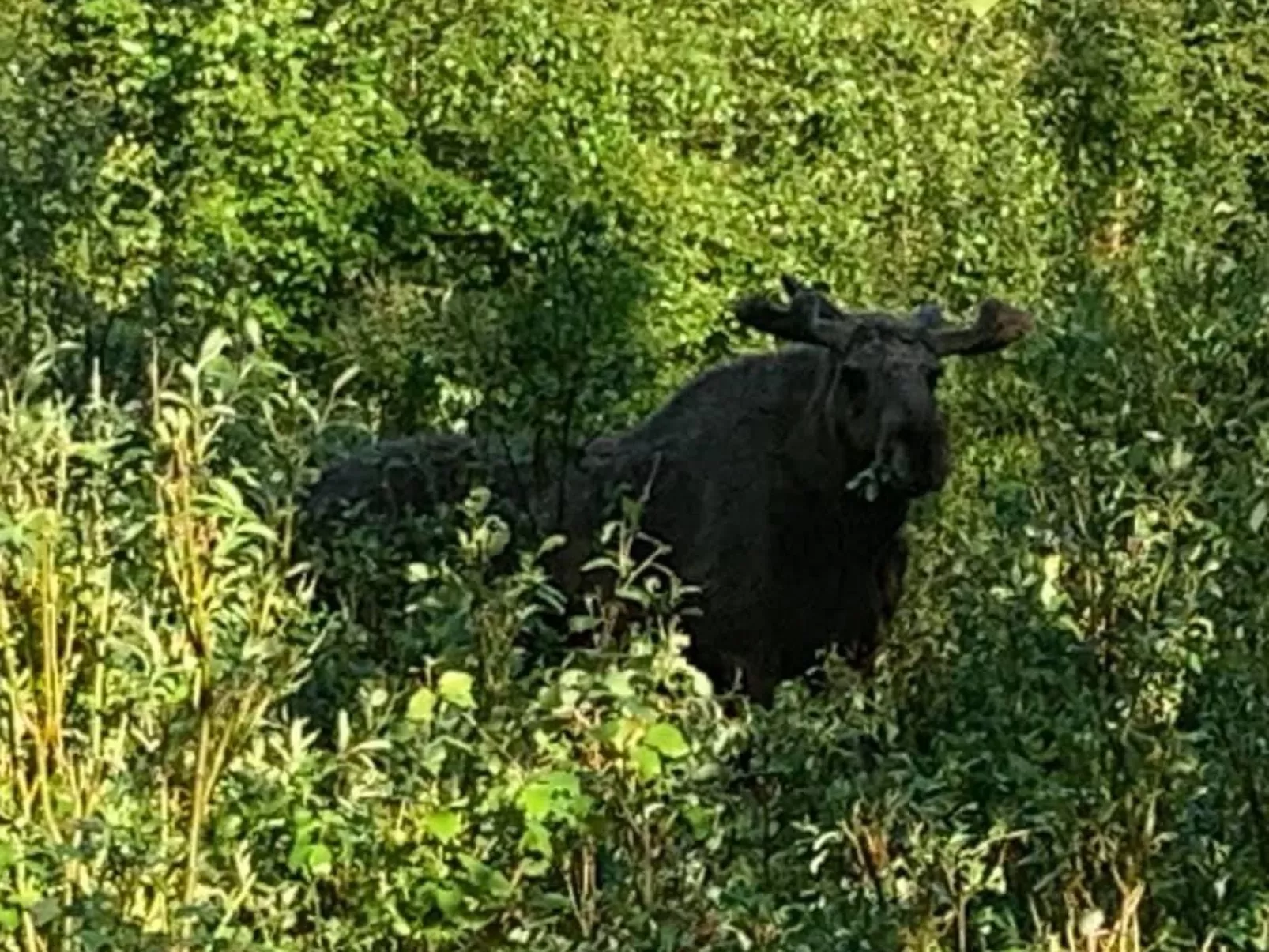 Zu vermieten in der Nähe von Jokkmokk-Outside
