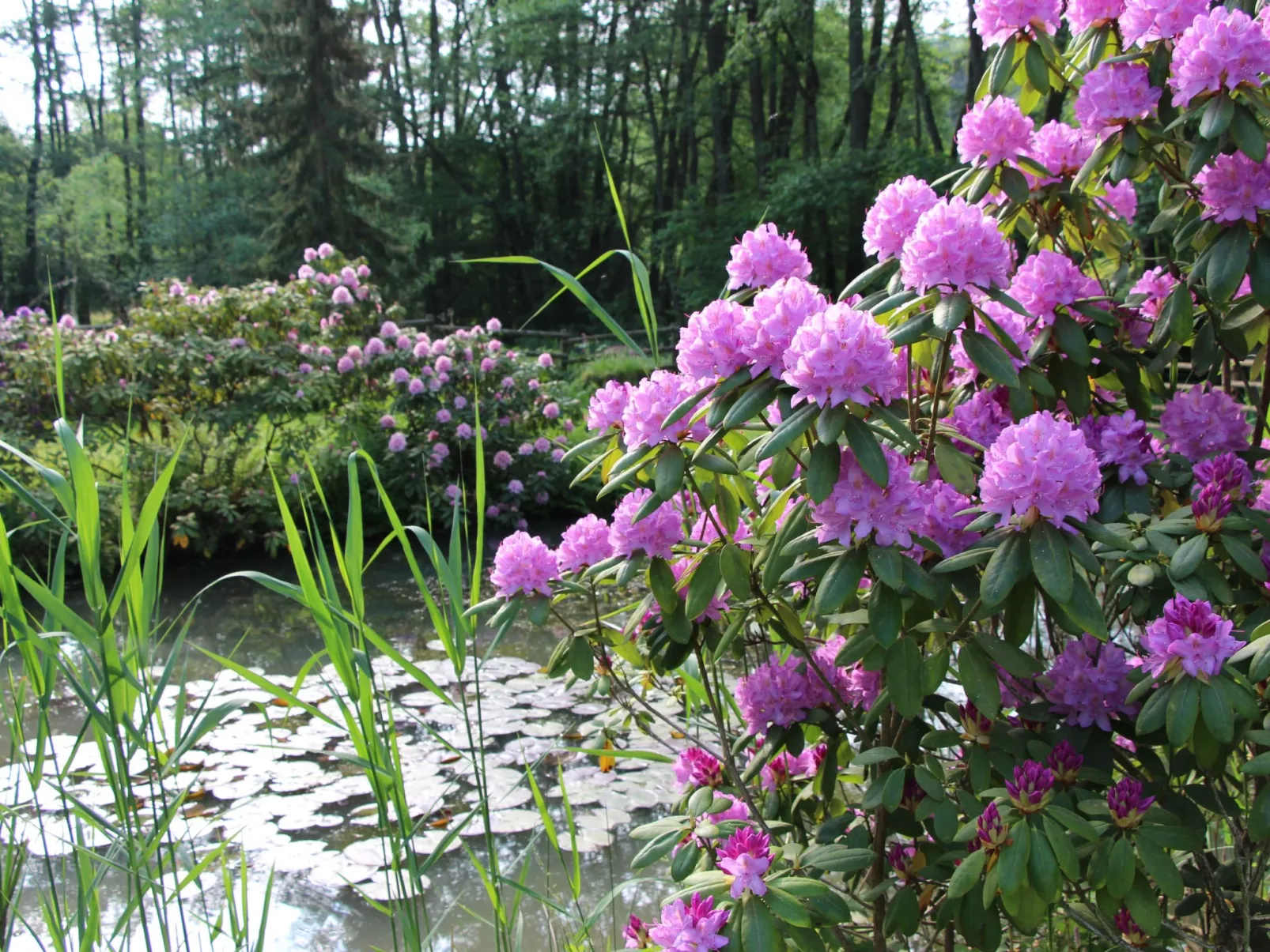 Ferienvilla mit eigener Sauna-Draußen