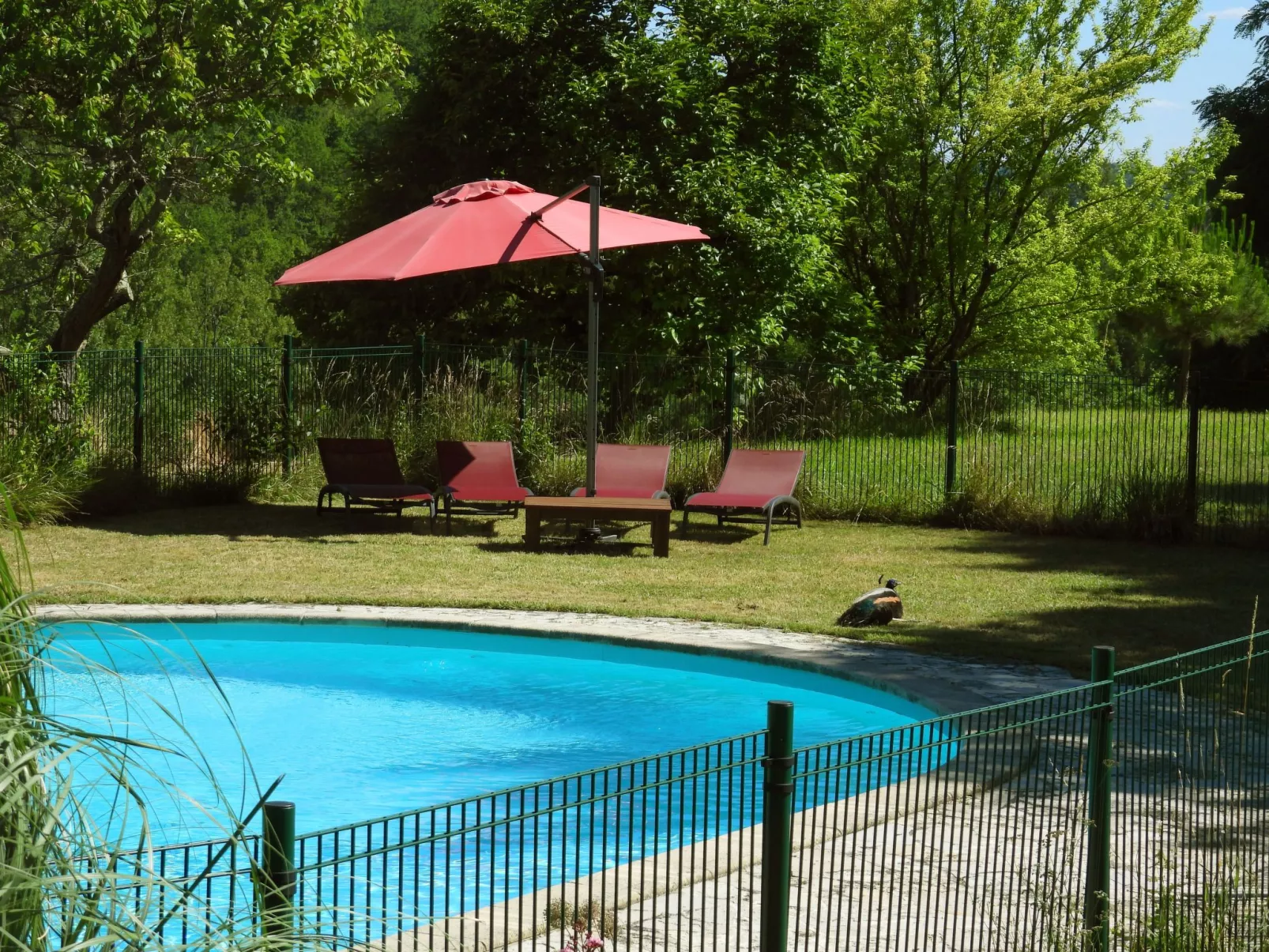 La Ferme des Paons-Outside