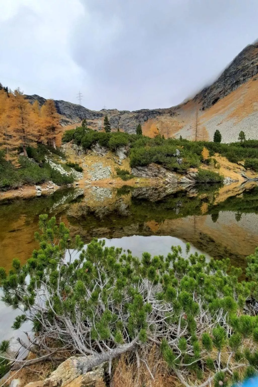 Sonnige 2.5-Zimmer Wohnung an ruhiger Lage-Draußen