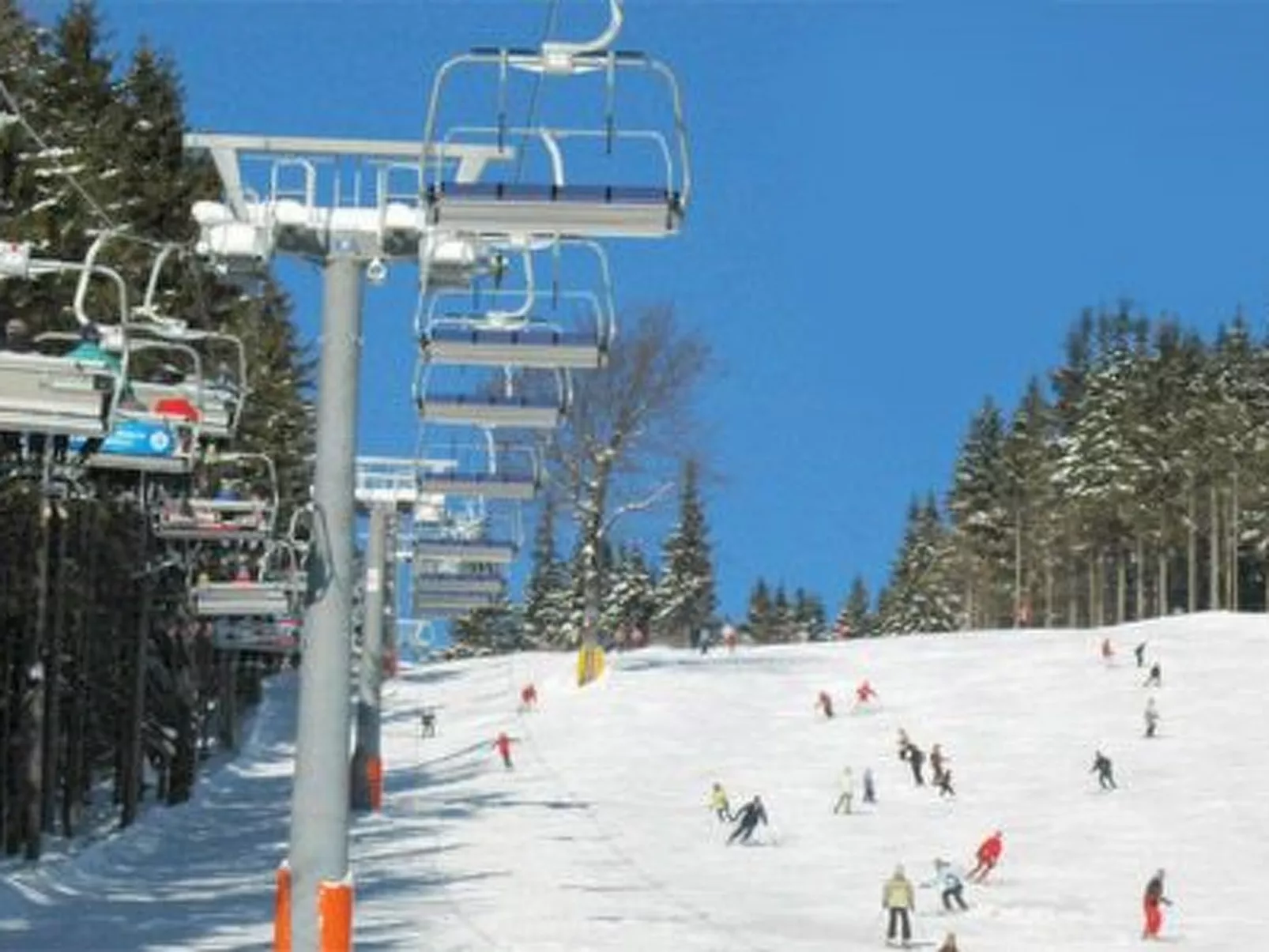 In natürlicher Umgebung-Draußen