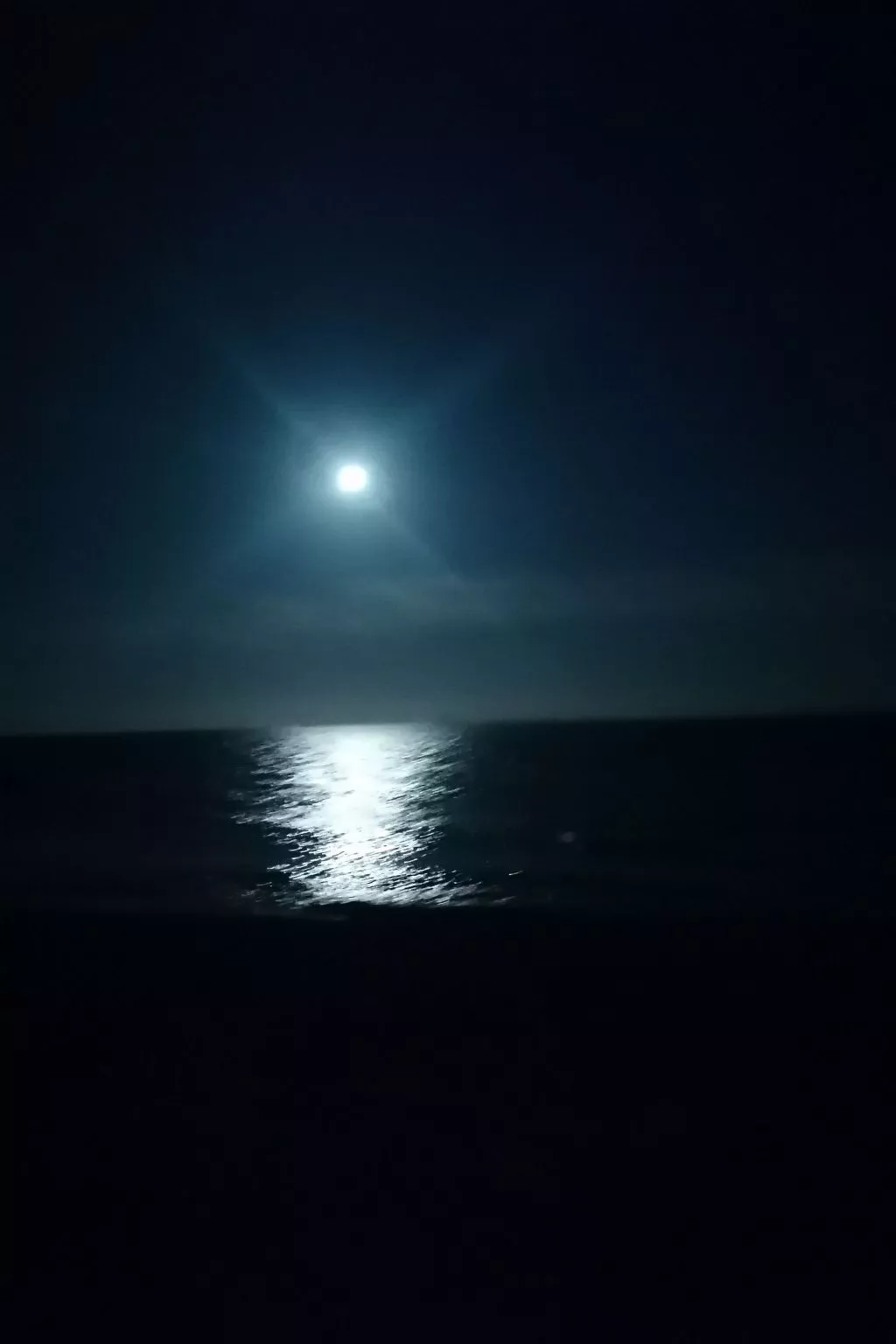 "Stewart" mit Blick auf das Wasser-Outside