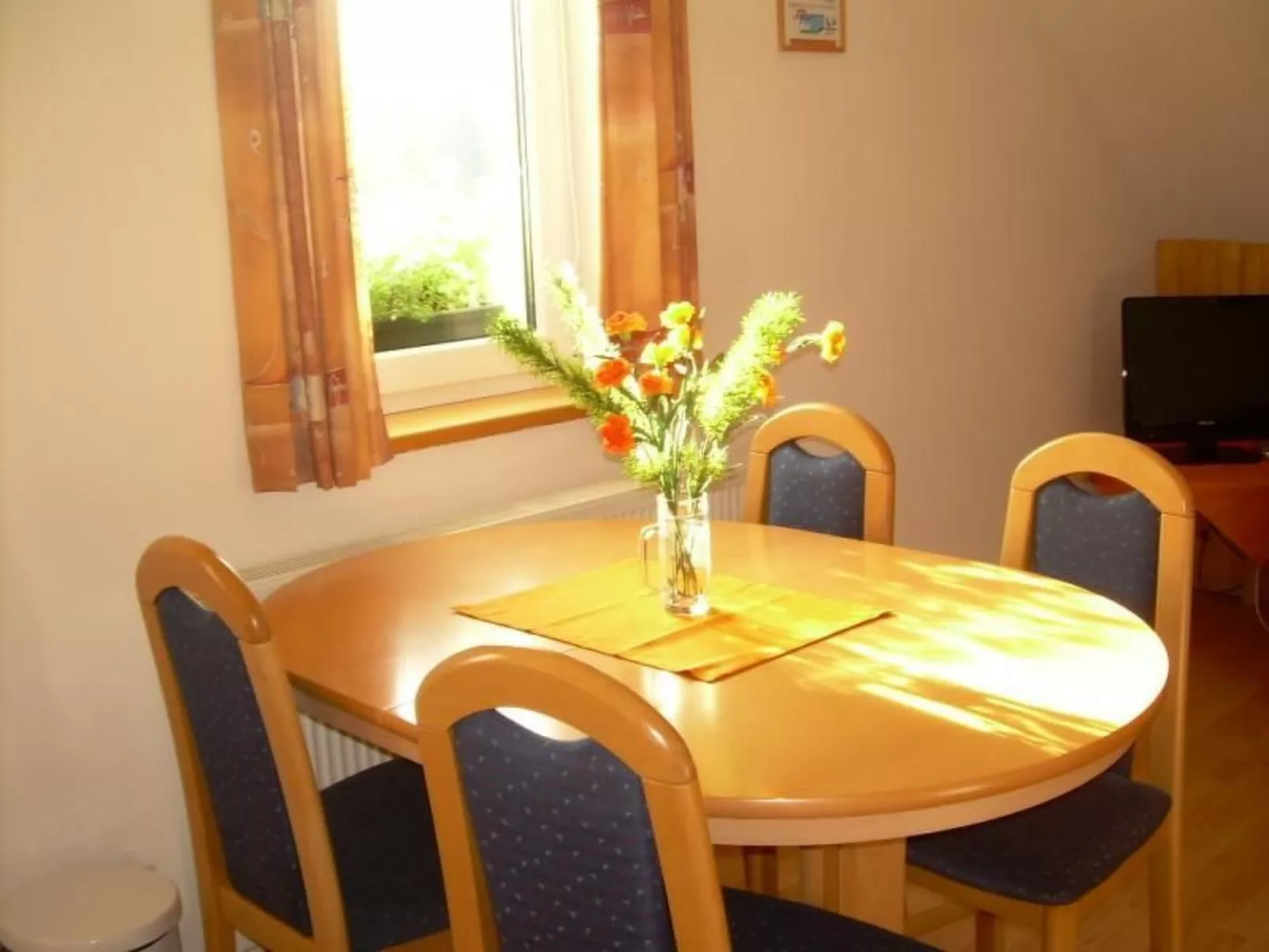 Wohnung Rozika-Drinnen