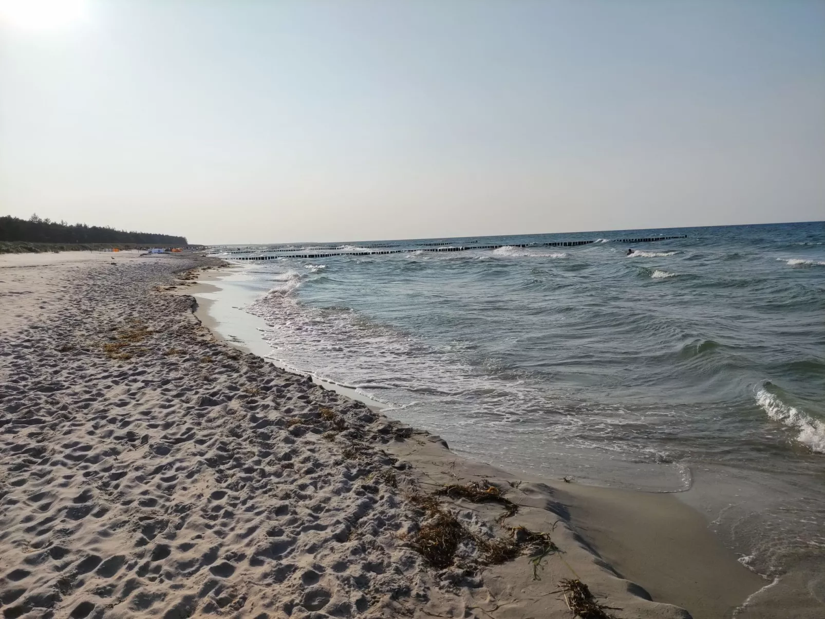 Janet Ratschkowski-Outside