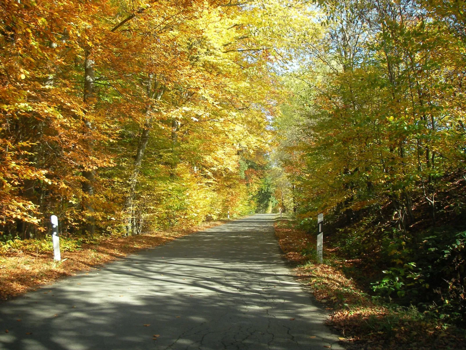 Chalet "Lena"-Image-tags.info