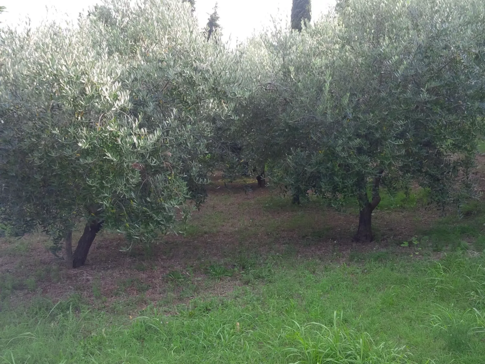 Appartement mit Balkon-Draußen