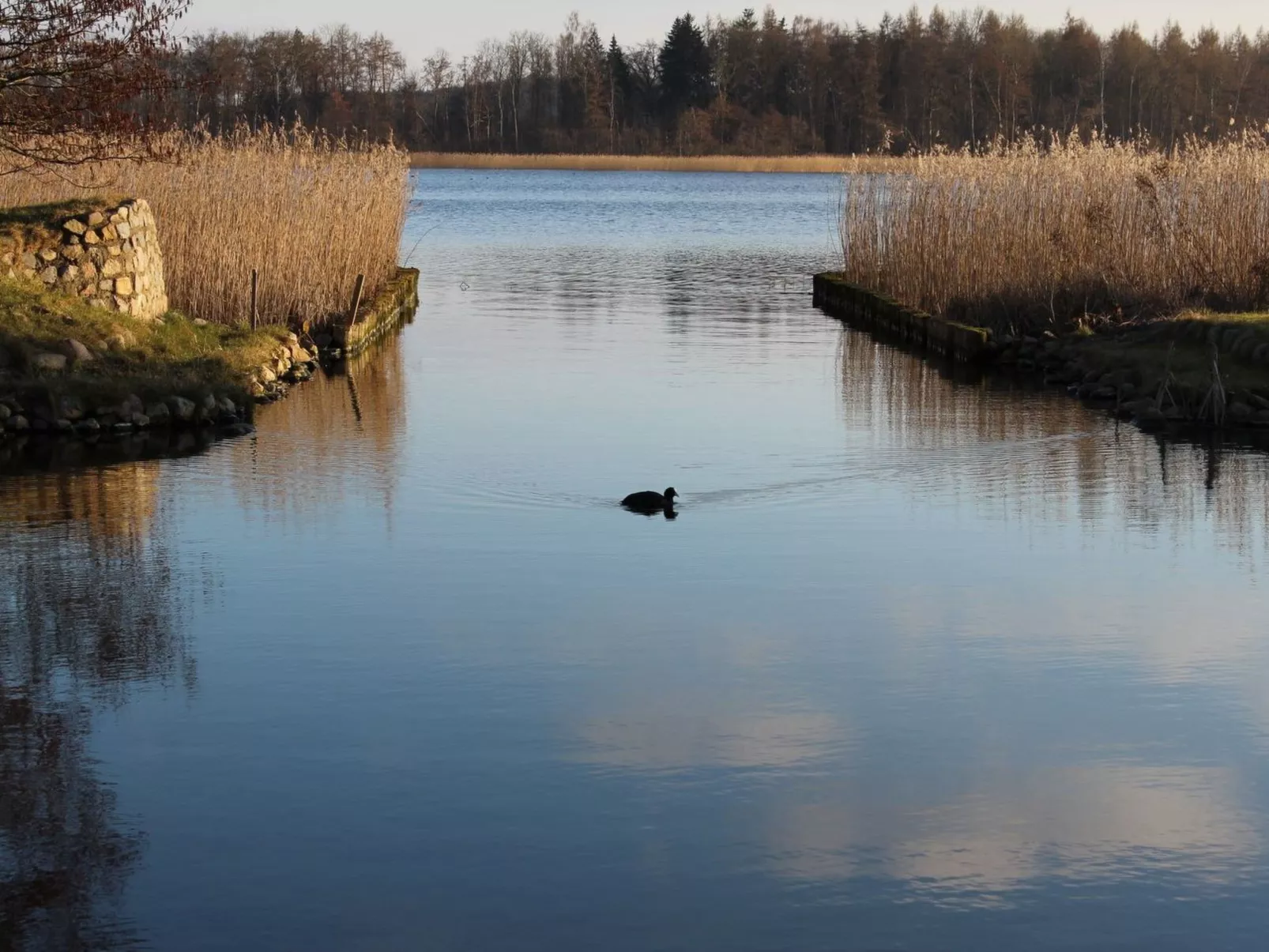 Residenz KrakowerSee-Dehors
