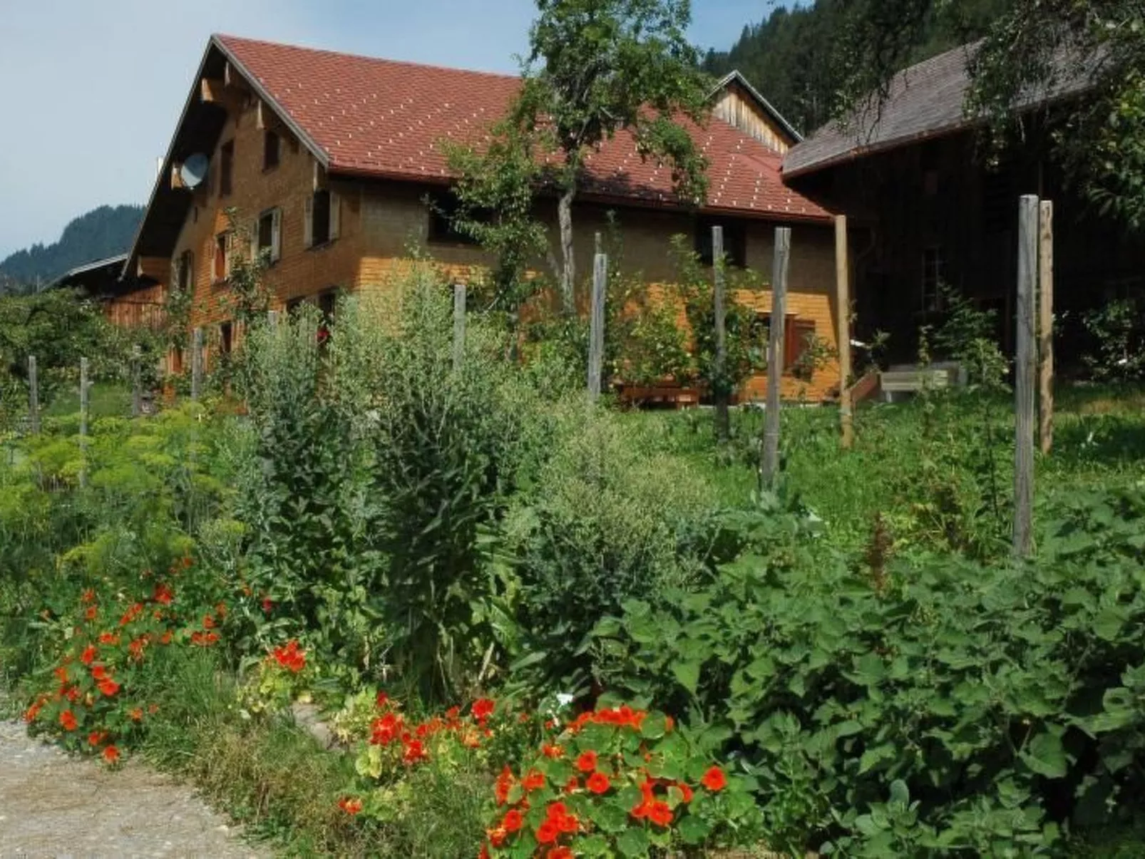 Dünser in Dünserberg-Outside