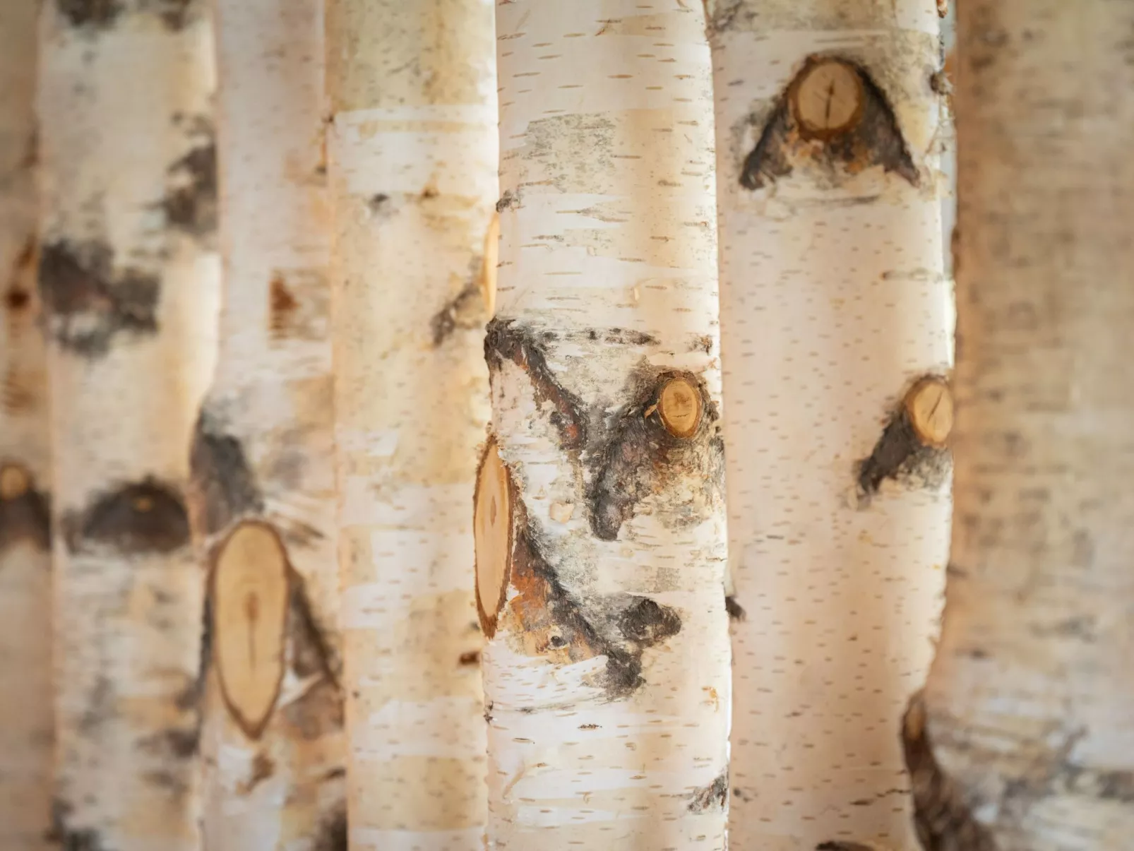 Landleben in Feistritz Ob Bleiburg-Outside