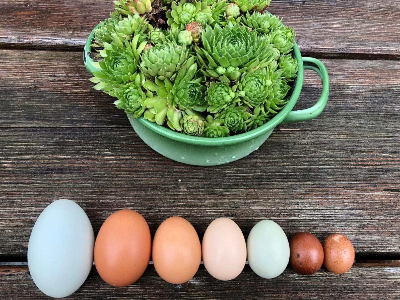 Wandlhof Ferienwohng-Inside