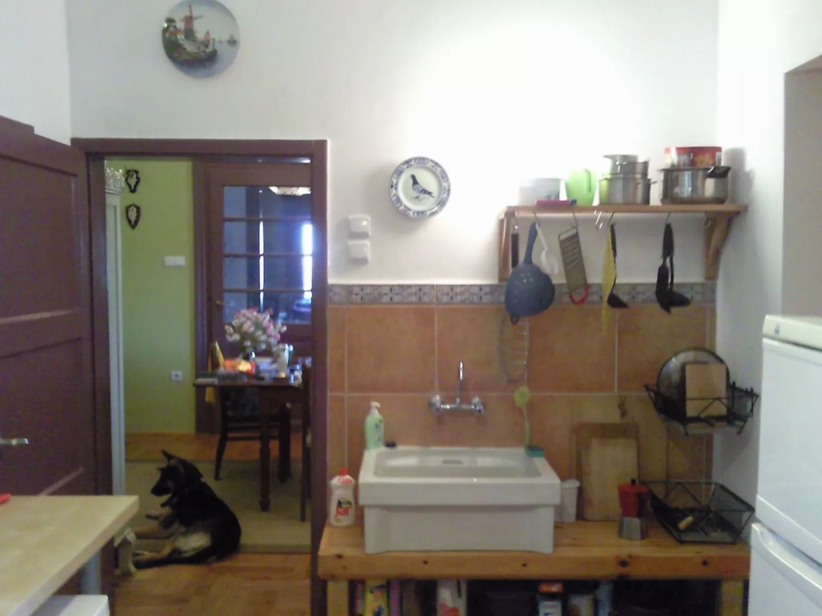 Mit biologischem Schwimmteich-Image-tags.info