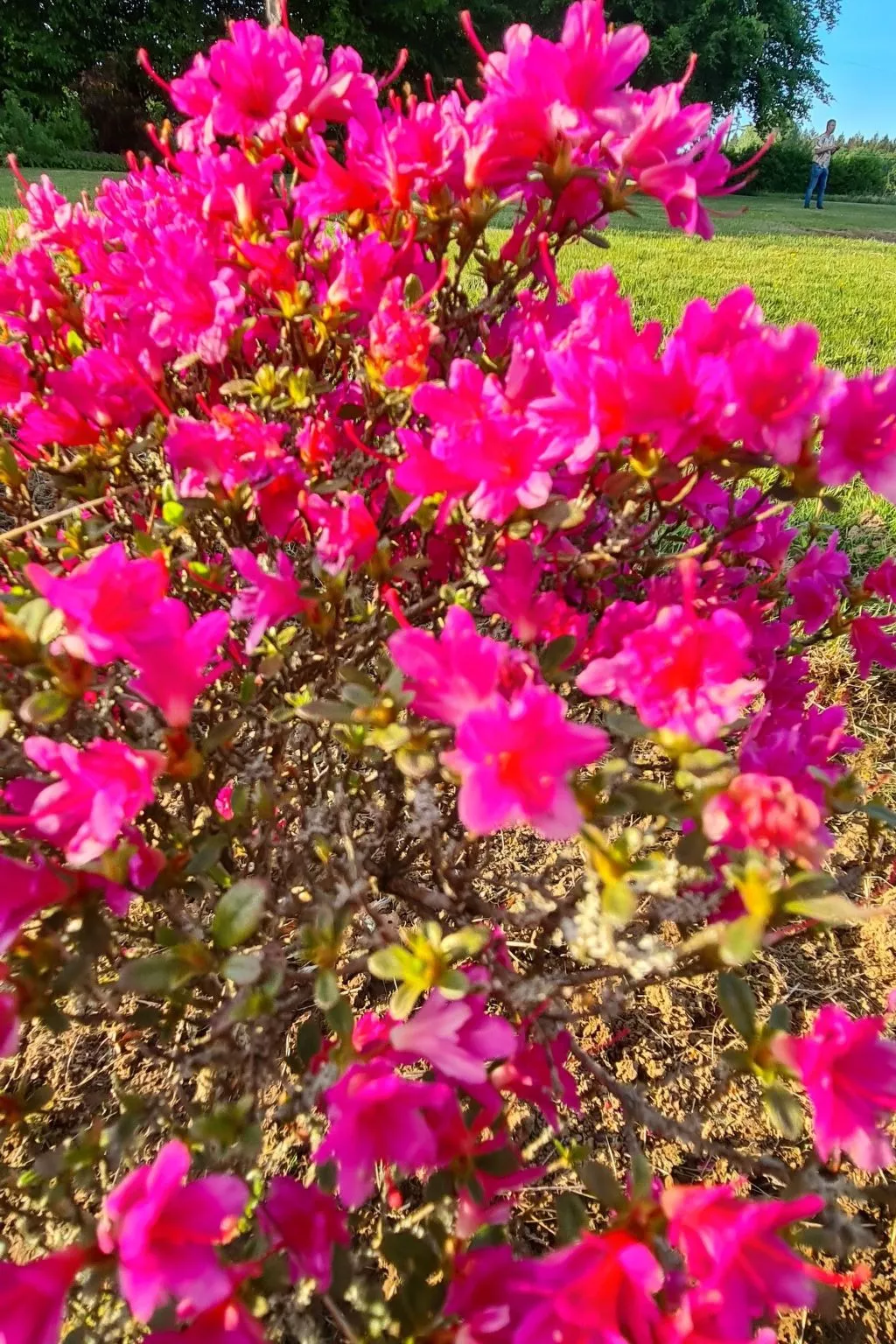 Antre Parenthèse de Sainte-Cécile-Outside