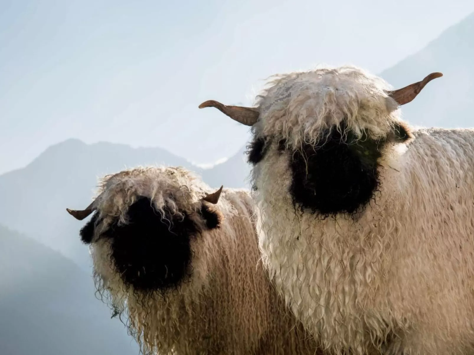 Wollhaus Oberzwirgi-Draußen