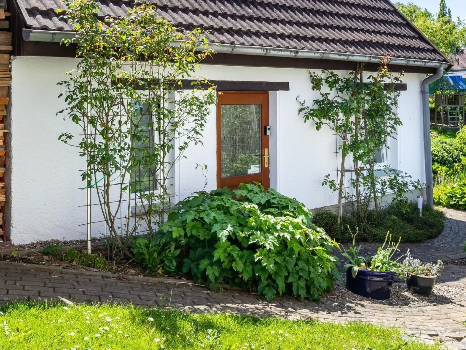 Teichblick in Klütz